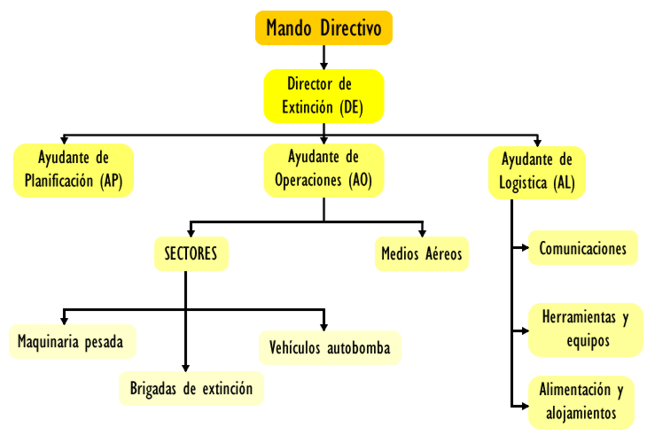 Organigrama del dispositivo de Ataque Ampliado